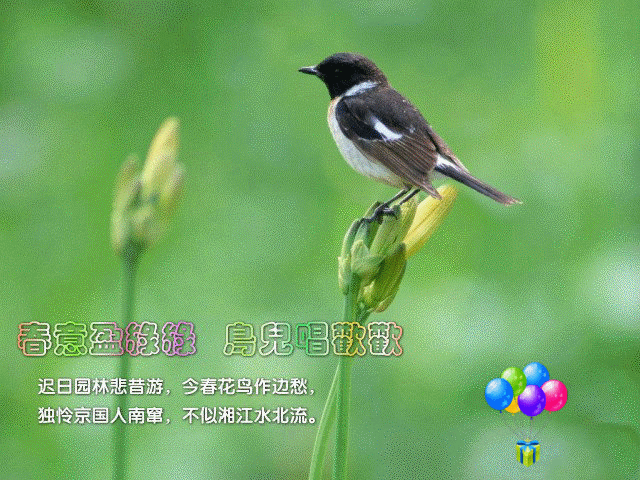 春天来了