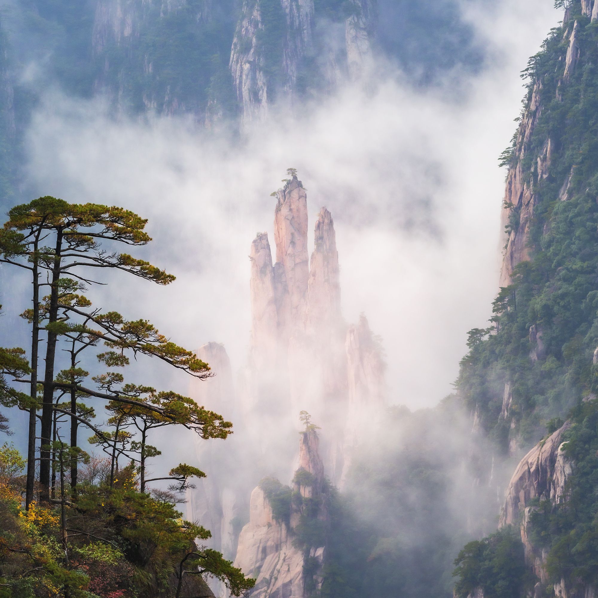 玉树临风【文声汇影】:[文声汇影]微信摄影风景合辑第二十六期 - vv