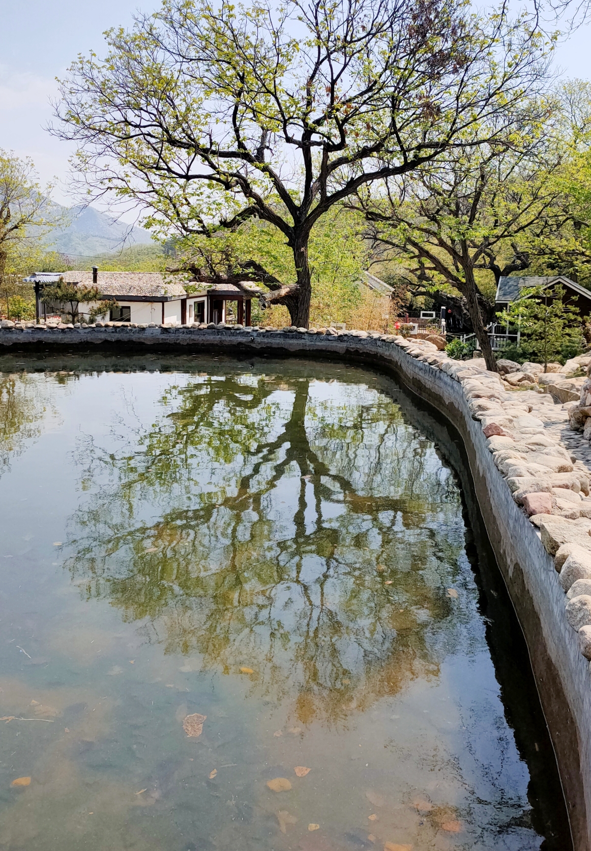 肥城市孙伯镇五埠村,石缘,石房,石墙,石道,石墙.
