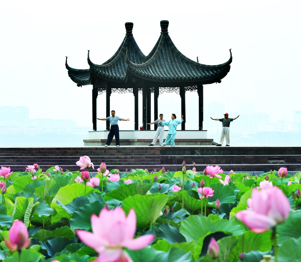 阳羡风景美如画,宜园荷花别样红