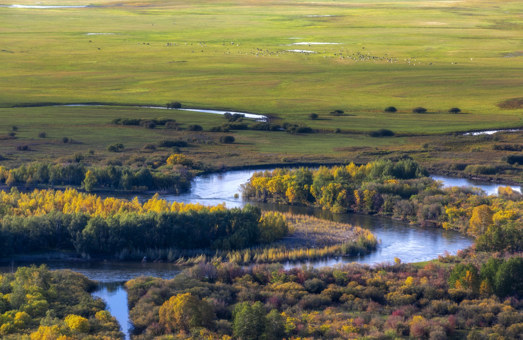 本片摄于2020年9月20号 呼伦贝尔-额尔古纳国家亚洲湿地公园 拍摄:游