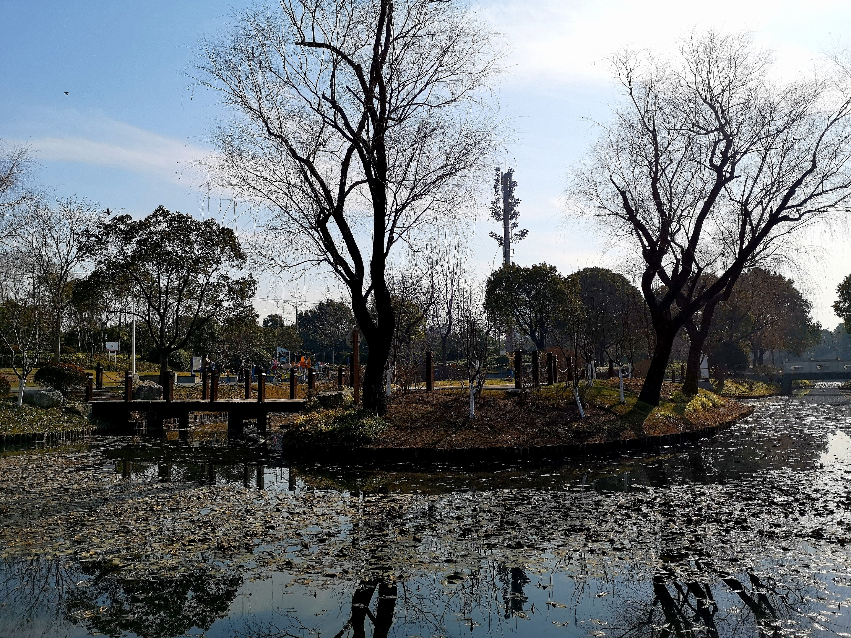 假日期间乘坐地铁8号线来到了位于闵行区浦江镇的陈行公园.