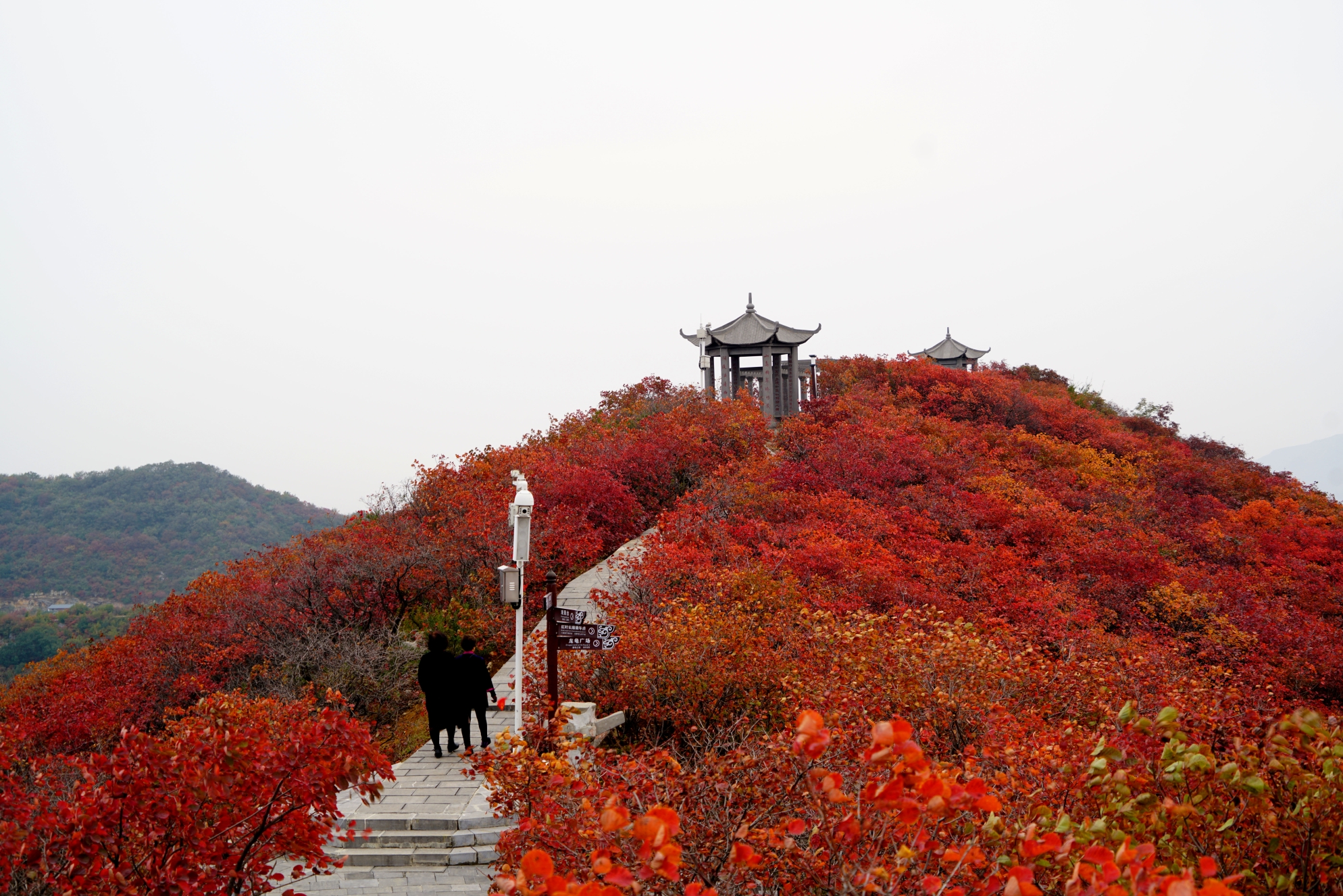 平谷挂甲峪长寿山景区图片