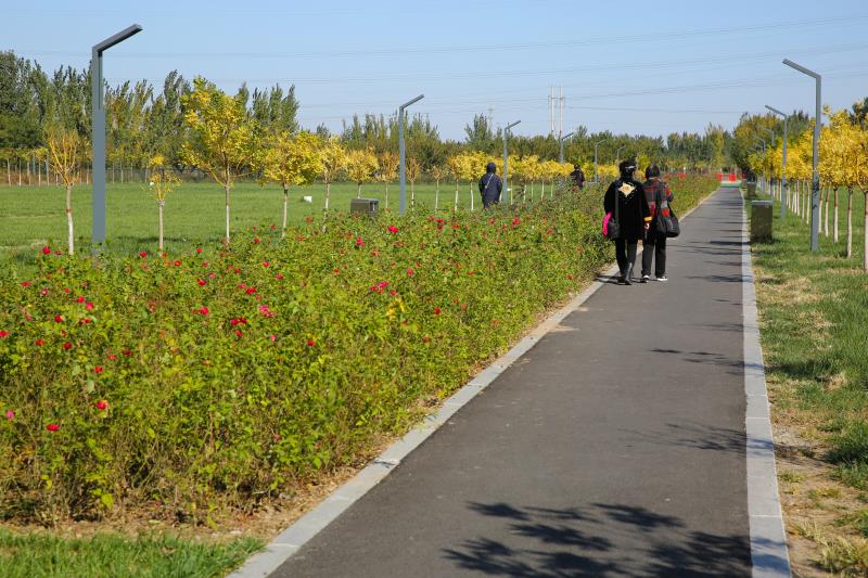 大运河景观带泊头段