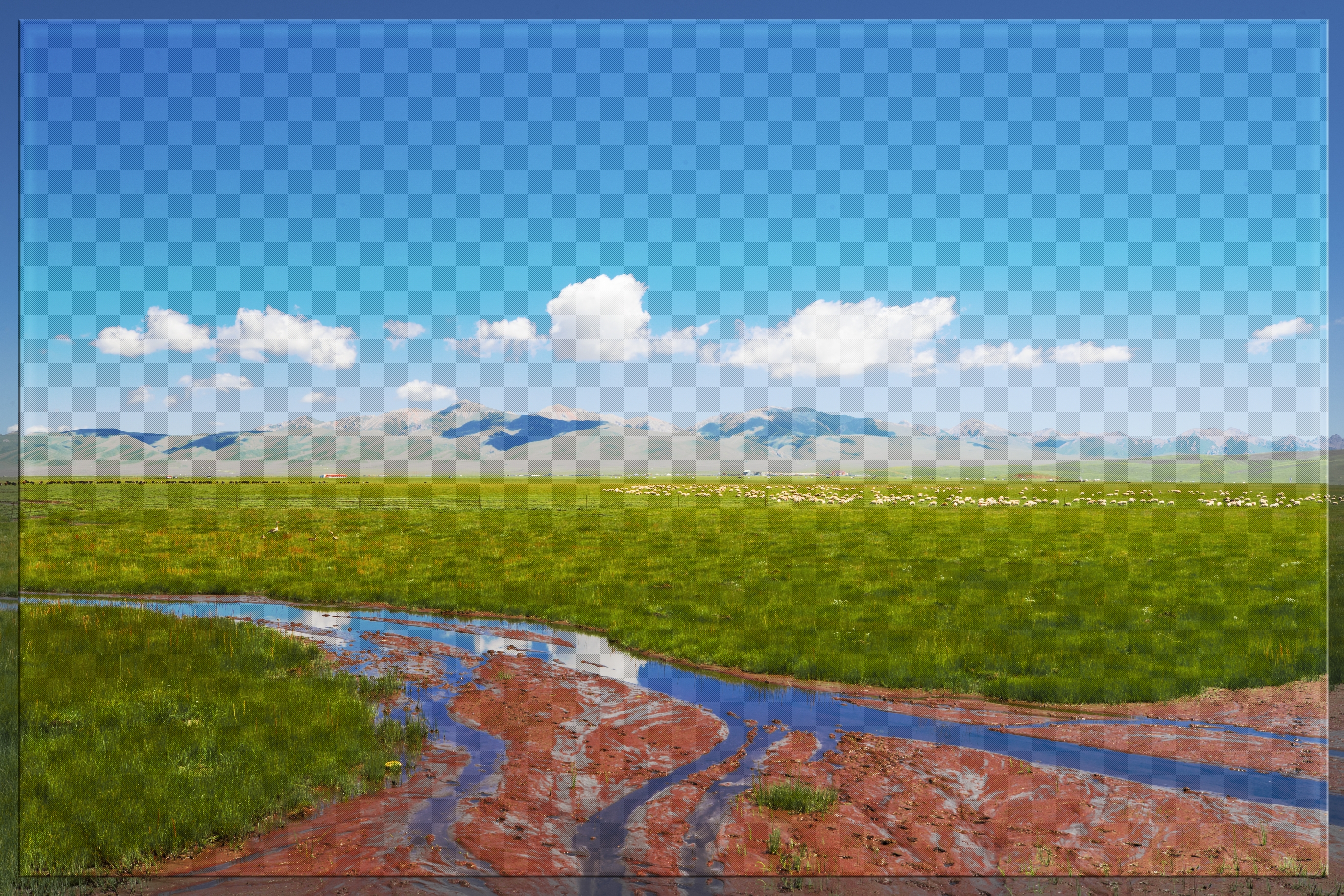 《甘南花湖》摄影:原驰 济南