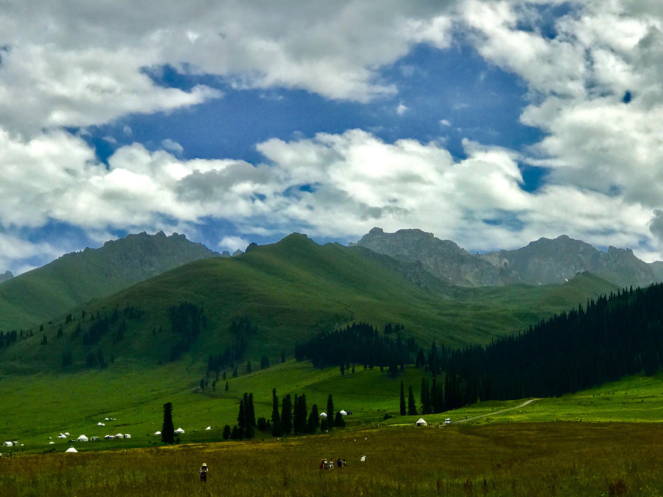 新疆伊犁那拉提空中草原.2019年手机随拍一一之21.