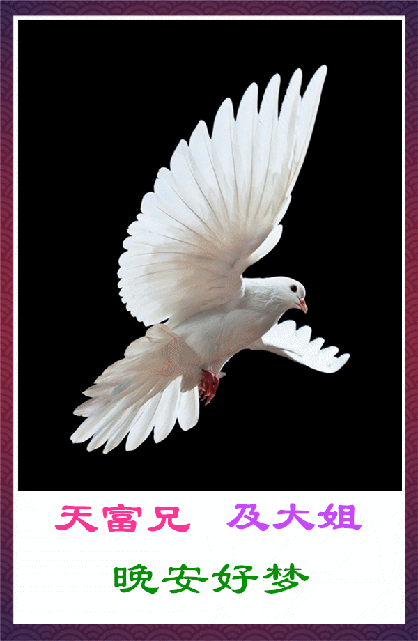 600_920竖版 竖屏gif 动态图 动图