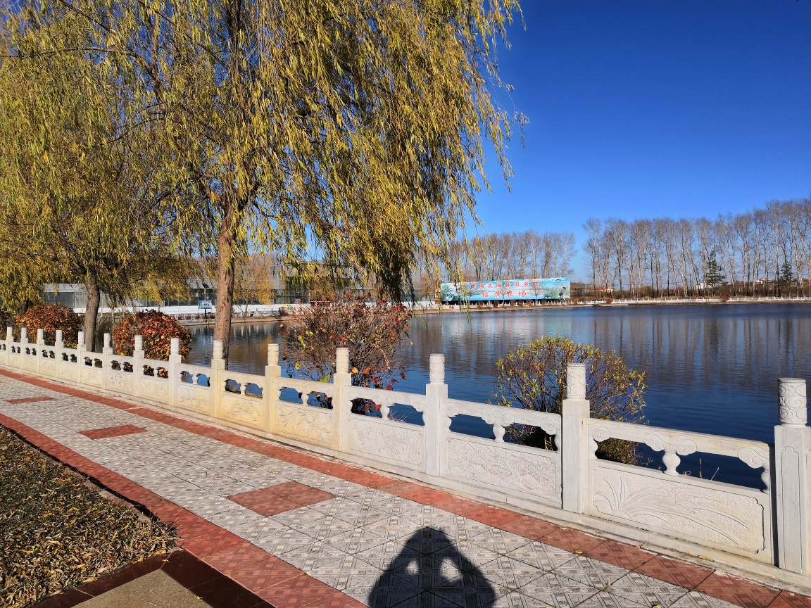 美丽绥滨植物园