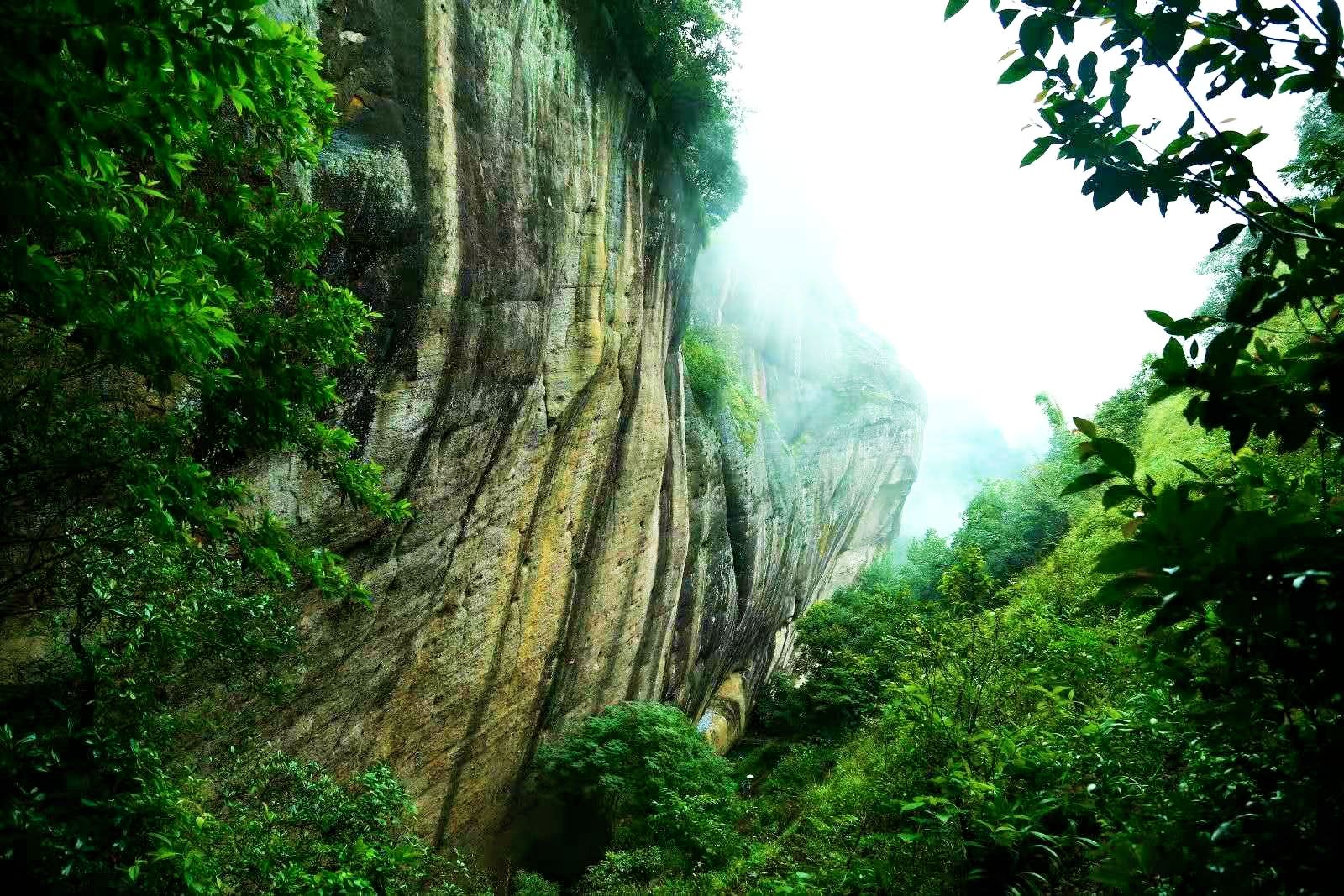 探访武夷山一线天