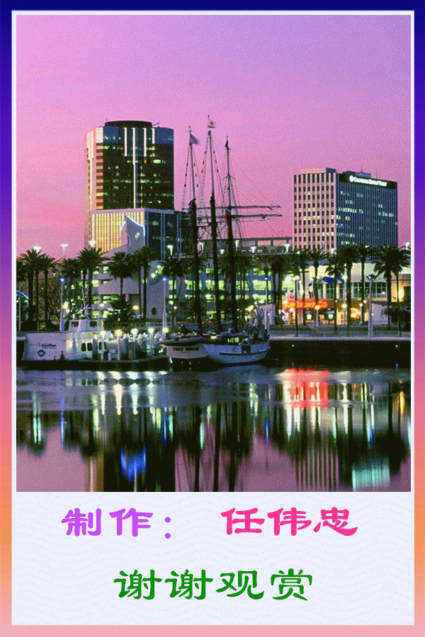 图:夜景.歌:情暖一生.演唱:安东阳,东方红艳.