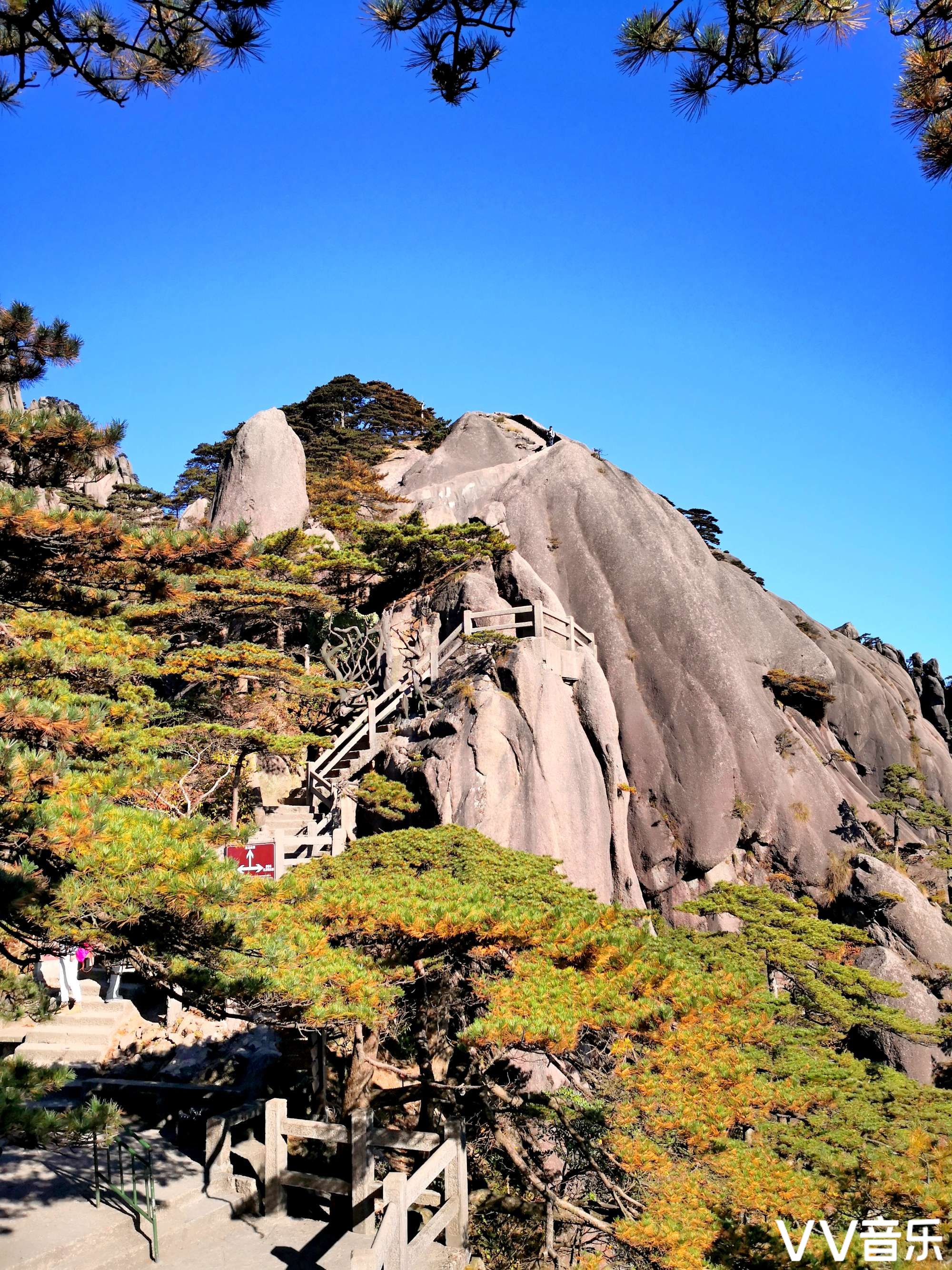登上黄山莲花峰