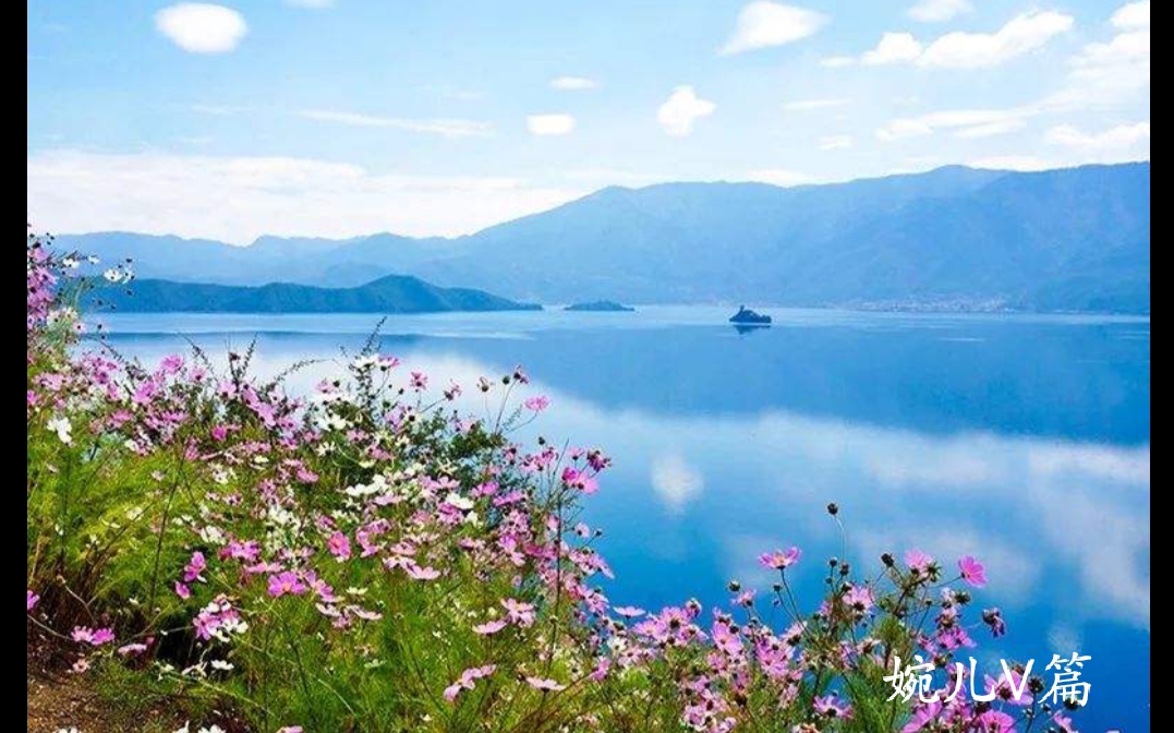 美文诵读《2020抗击疫情传播人间真情》诵读～夏月星