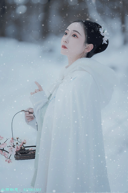 首发故人不归负我白头青眉