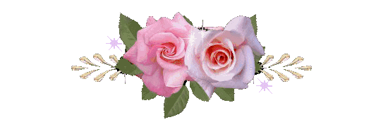 550_180gif 动态图 动图