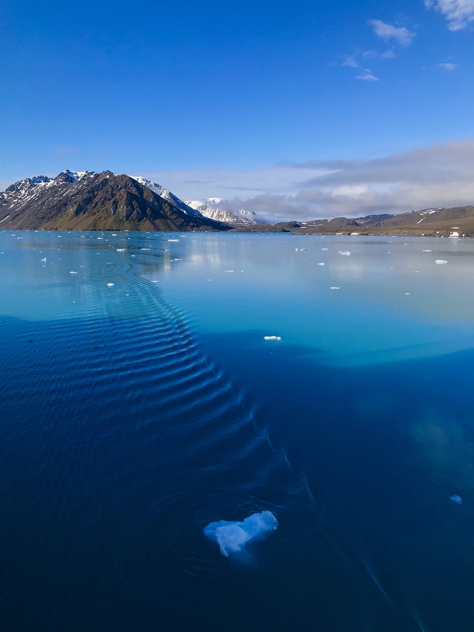 北极,我惊险幸运的快乐之旅!