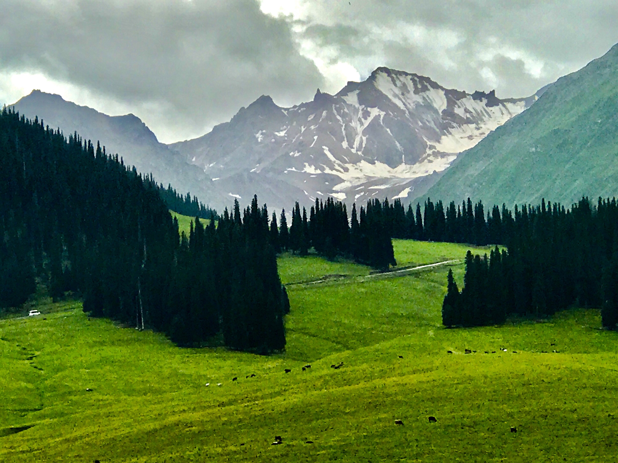 新疆伊犁那拉提空中草原.2019年手机随拍一一之21.