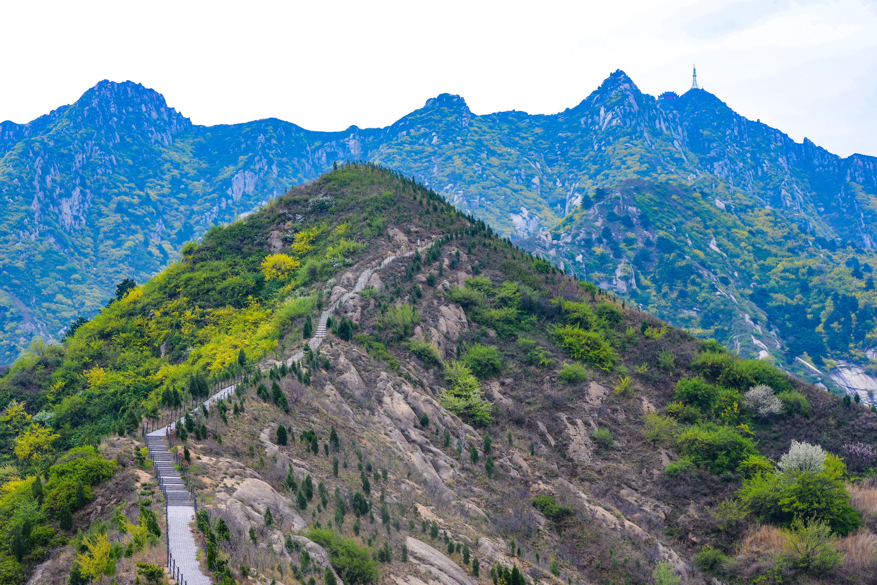 灵宝作协采风团娘娘山上展风采