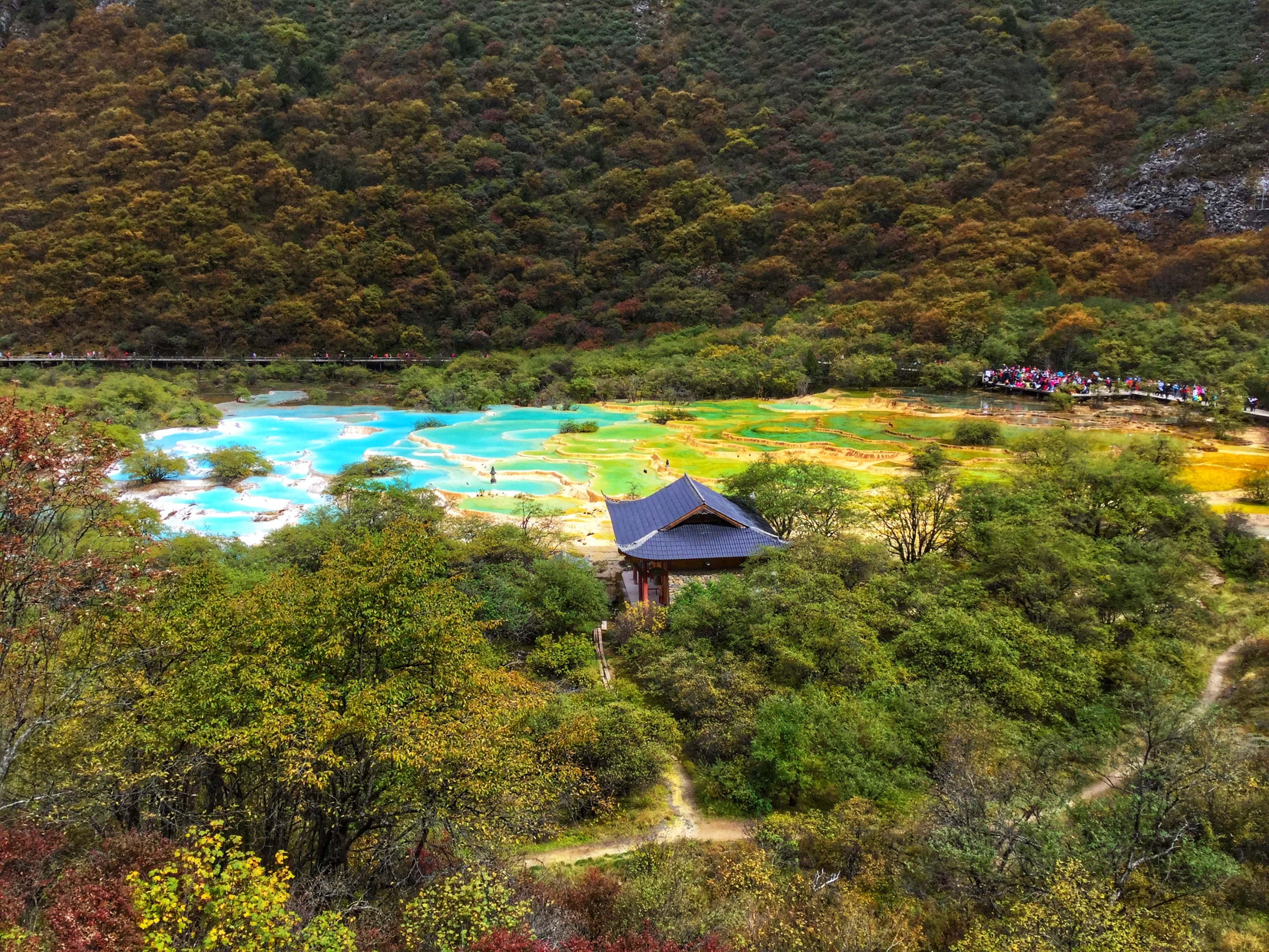 彩池,雪山,峡谷,森林交相呼应,黄龙—"人间瑶池",此景只应