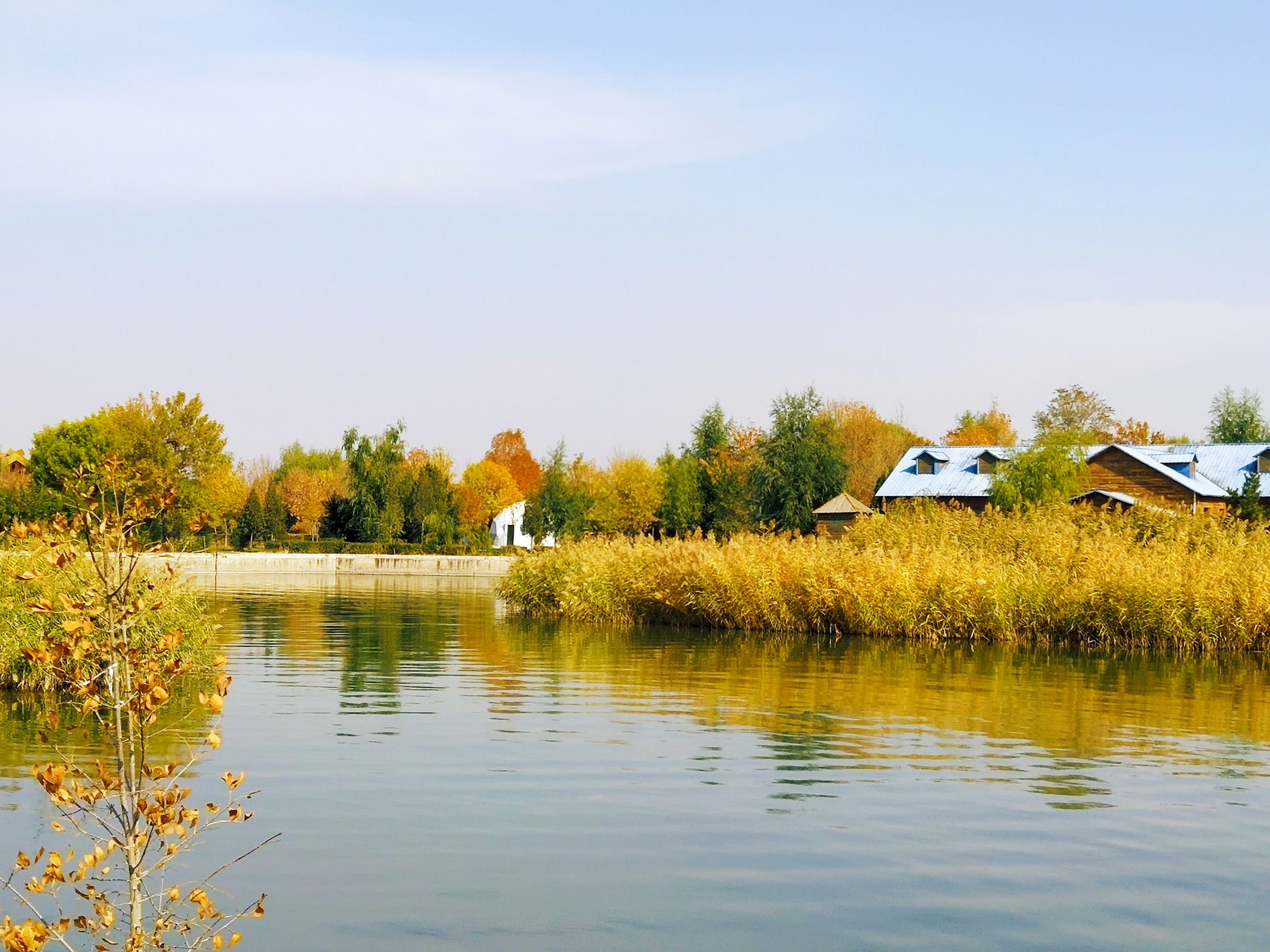 首发塞上江南醉美沙湖