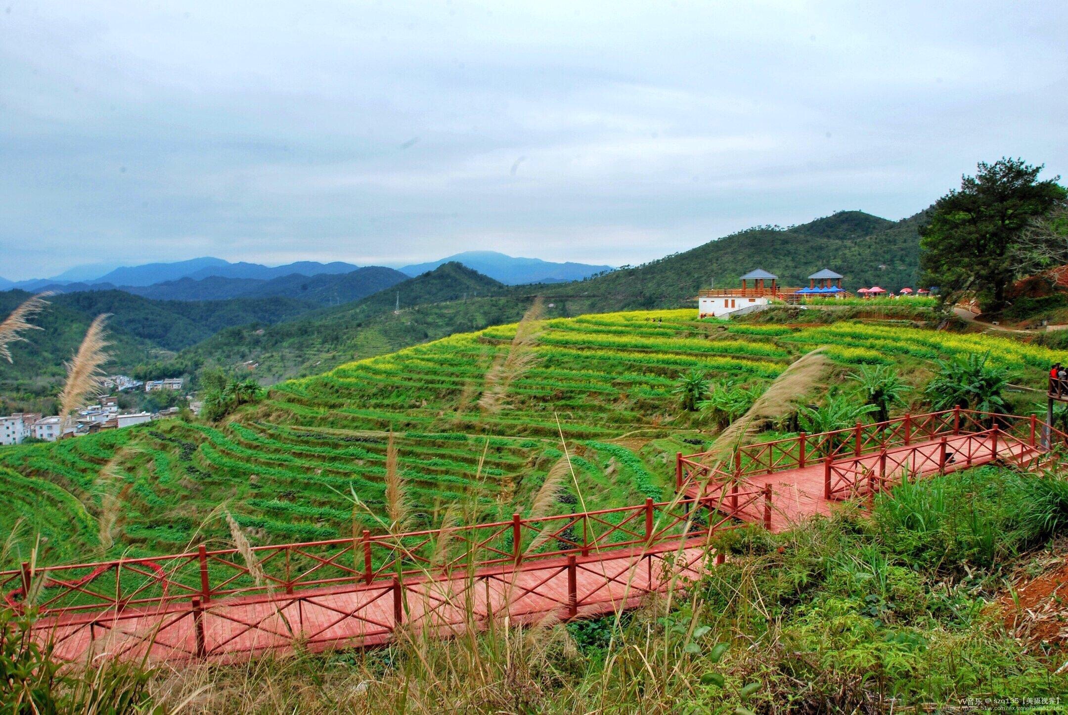 坪山梯田风光:位于大埔县大东镇坪山村,距大埔县城40公里,共1200亩.