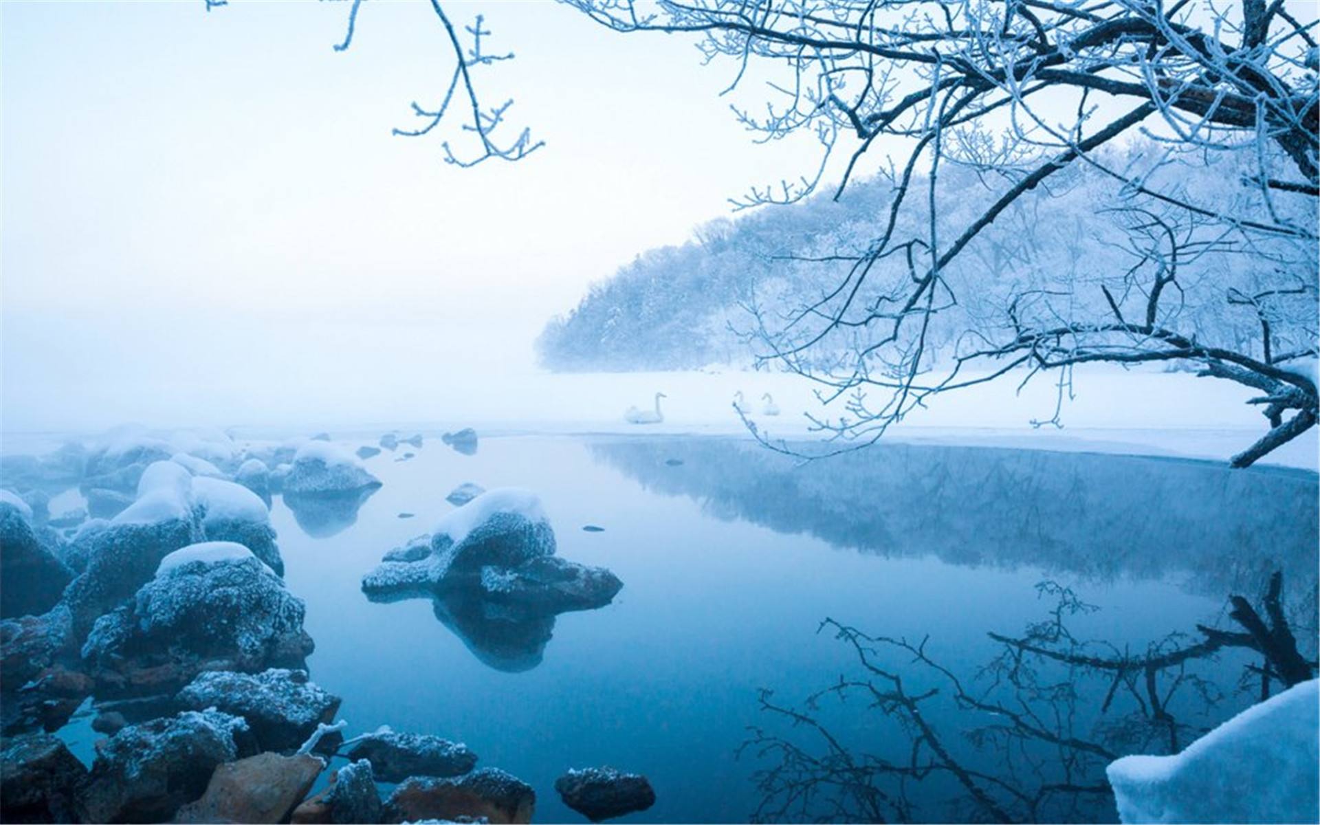 雪飞霜唯美图片