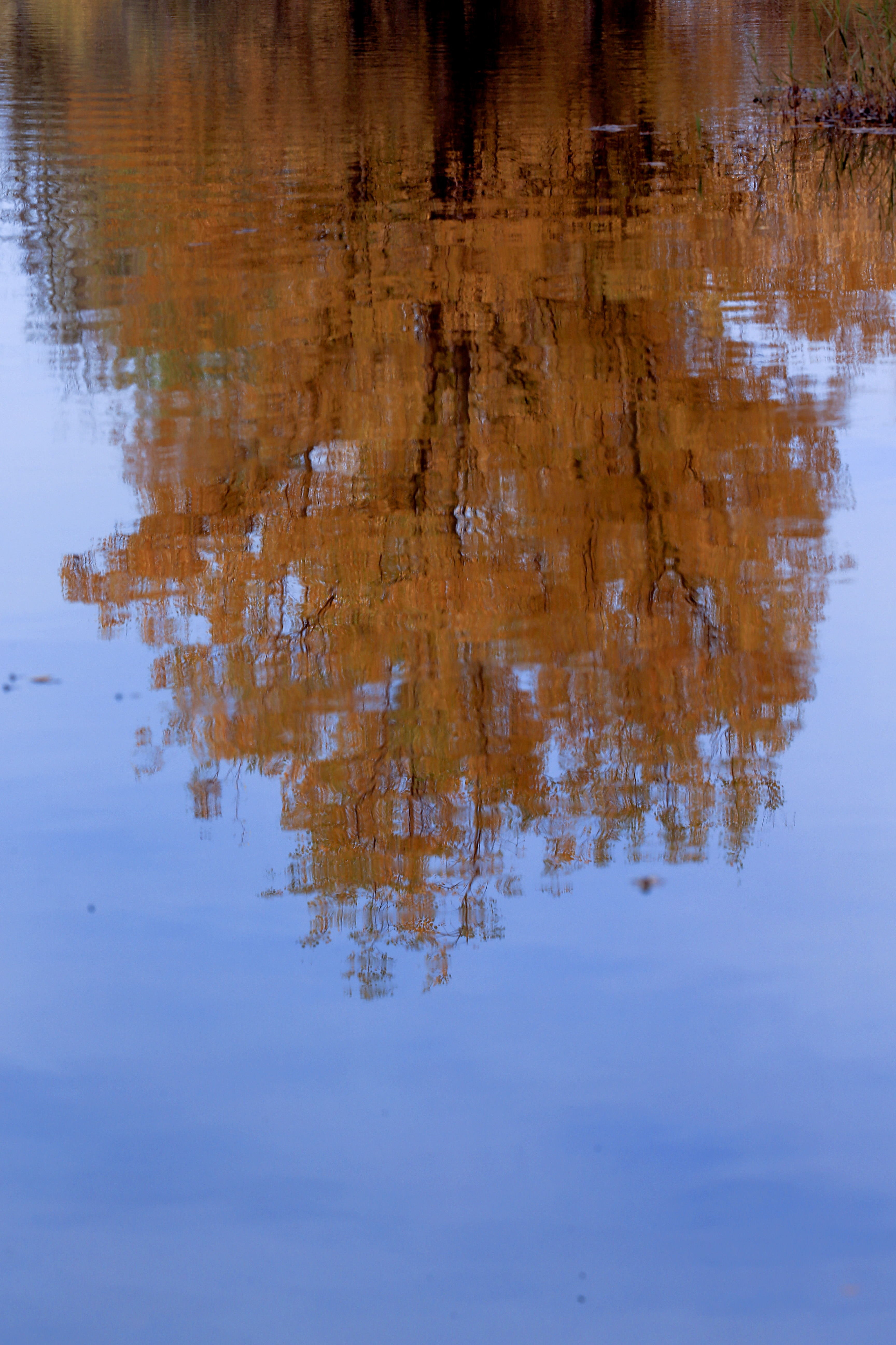 绝美的倒影摄影