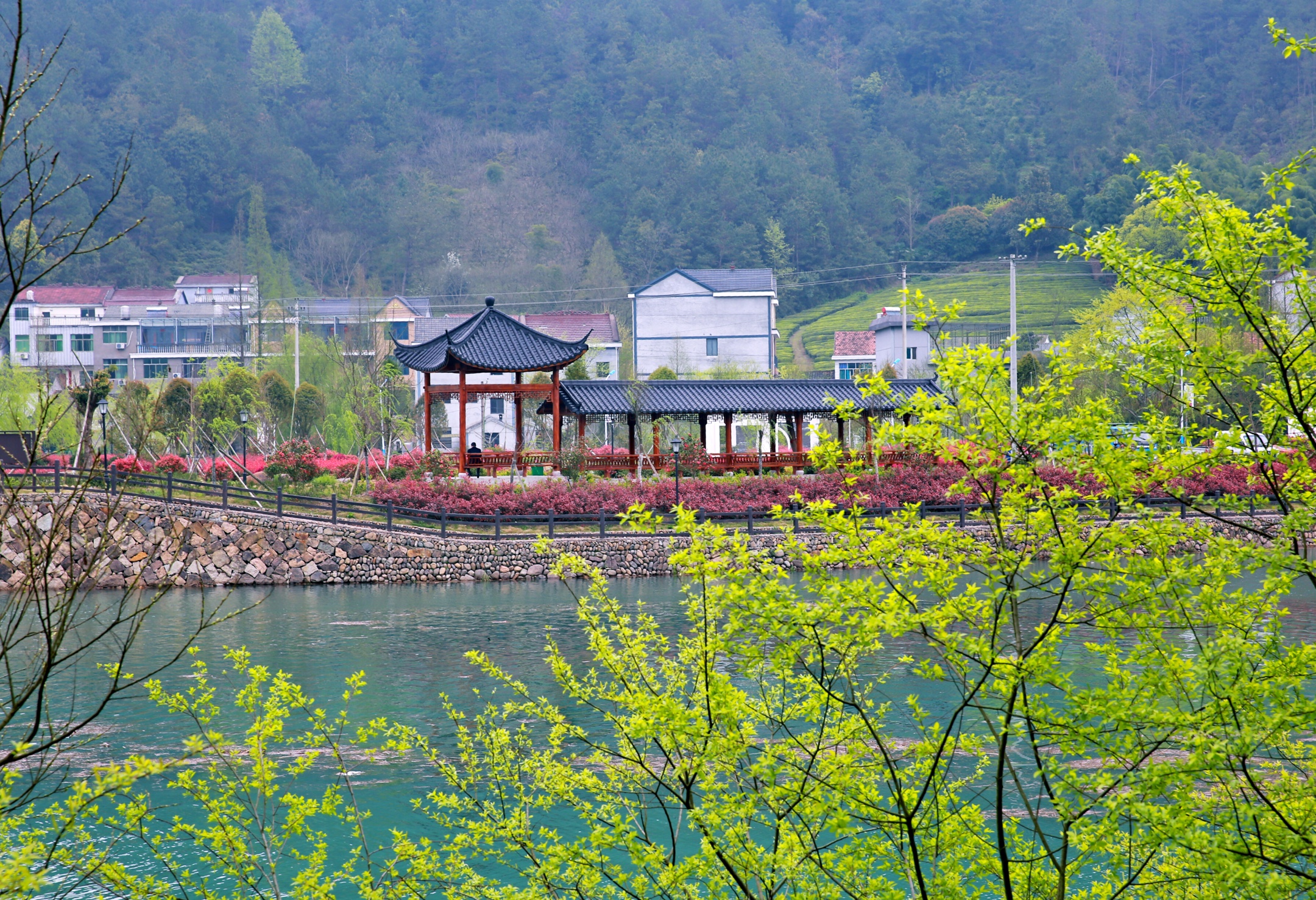 《醉美白沙溪·春色》2019年3月31日摄于白沙溪畔琅琊镇辽头村,皂里村