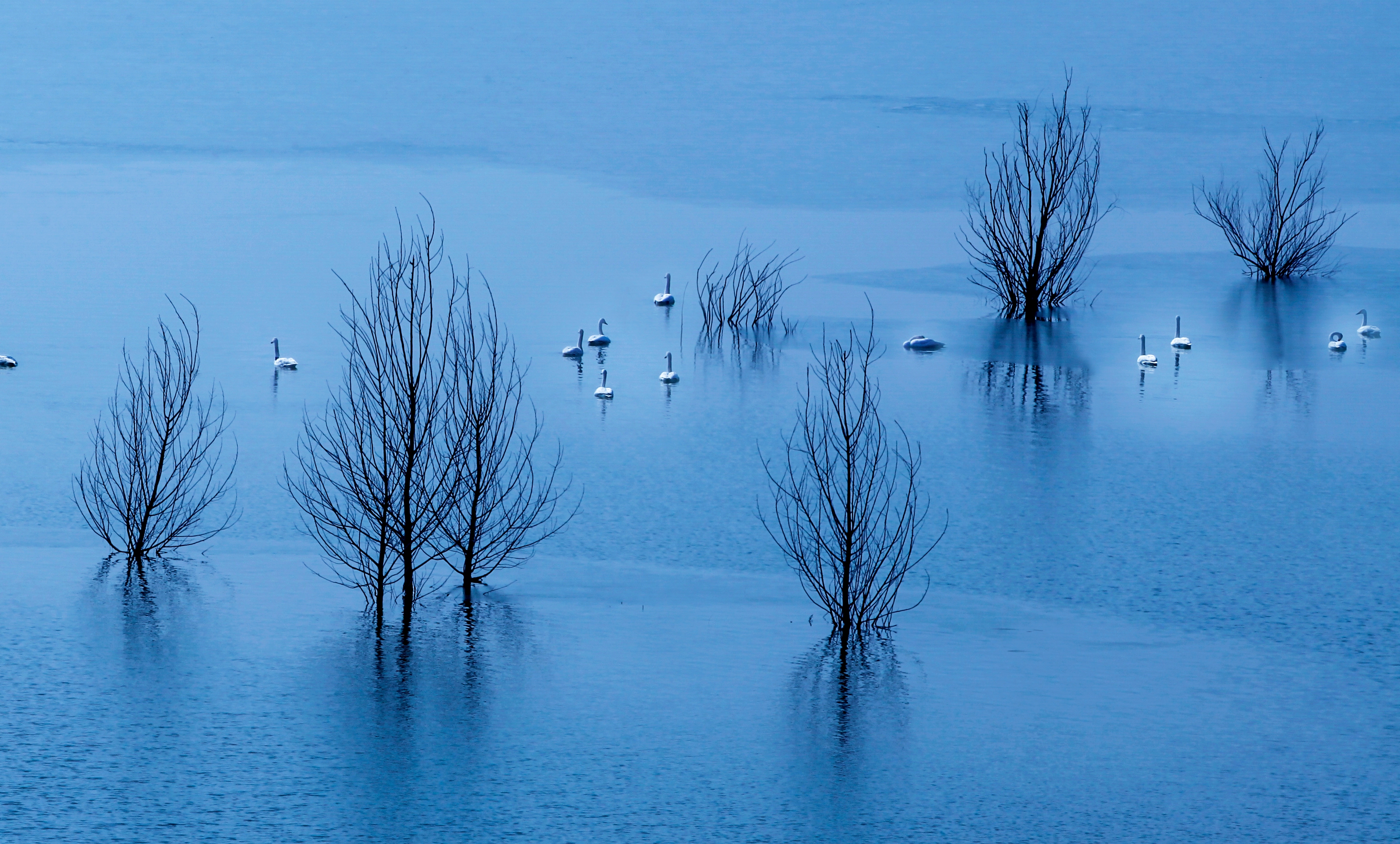 利用倒影进行拍摄,将简单的画面变得更富有内涵,更有艺术感.