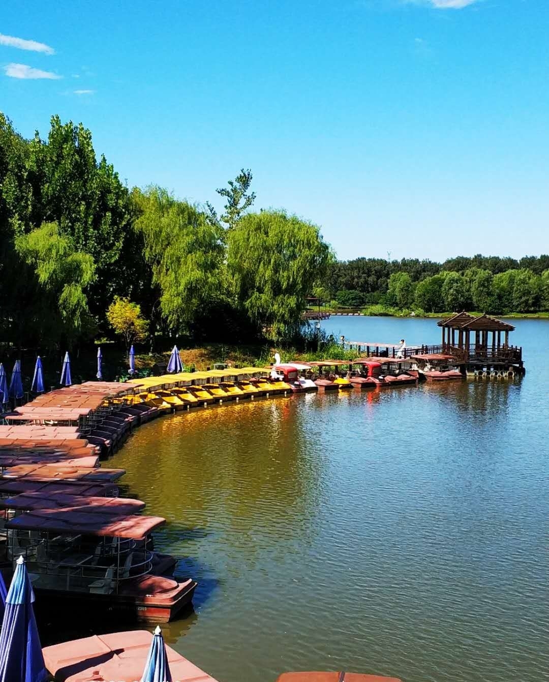 万州石桥水乡湿地公园图片