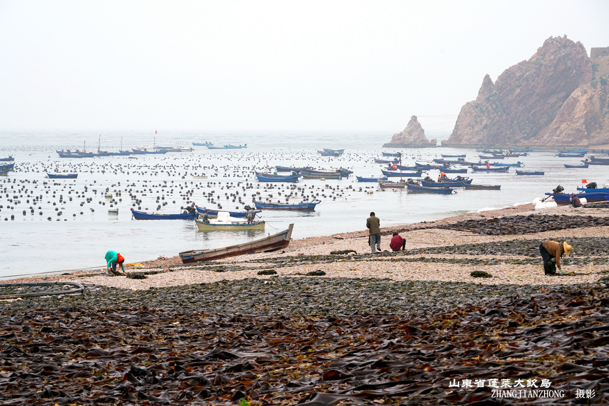 跟我一起走進山東蓬萊大欽島