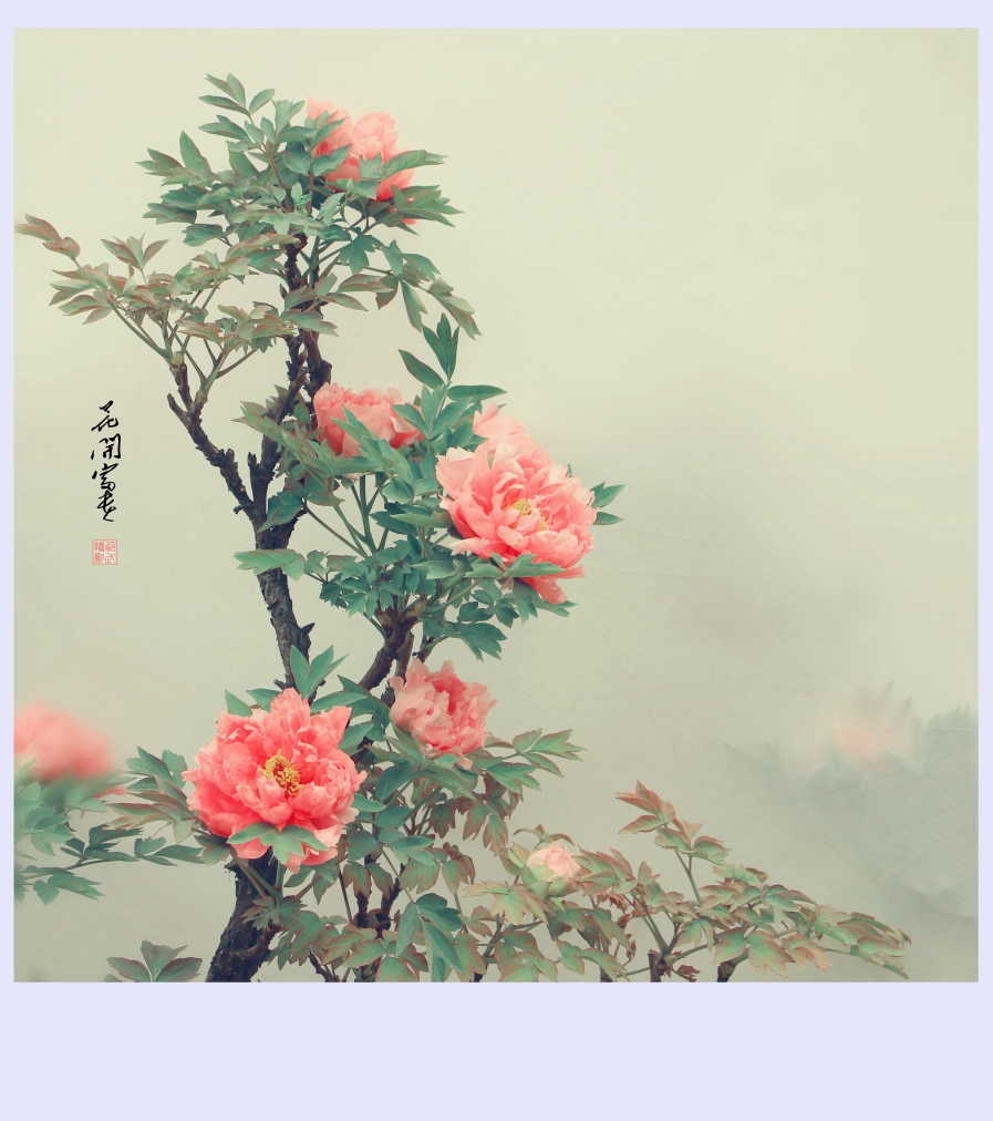 花开富贵[画意花卉摄影]