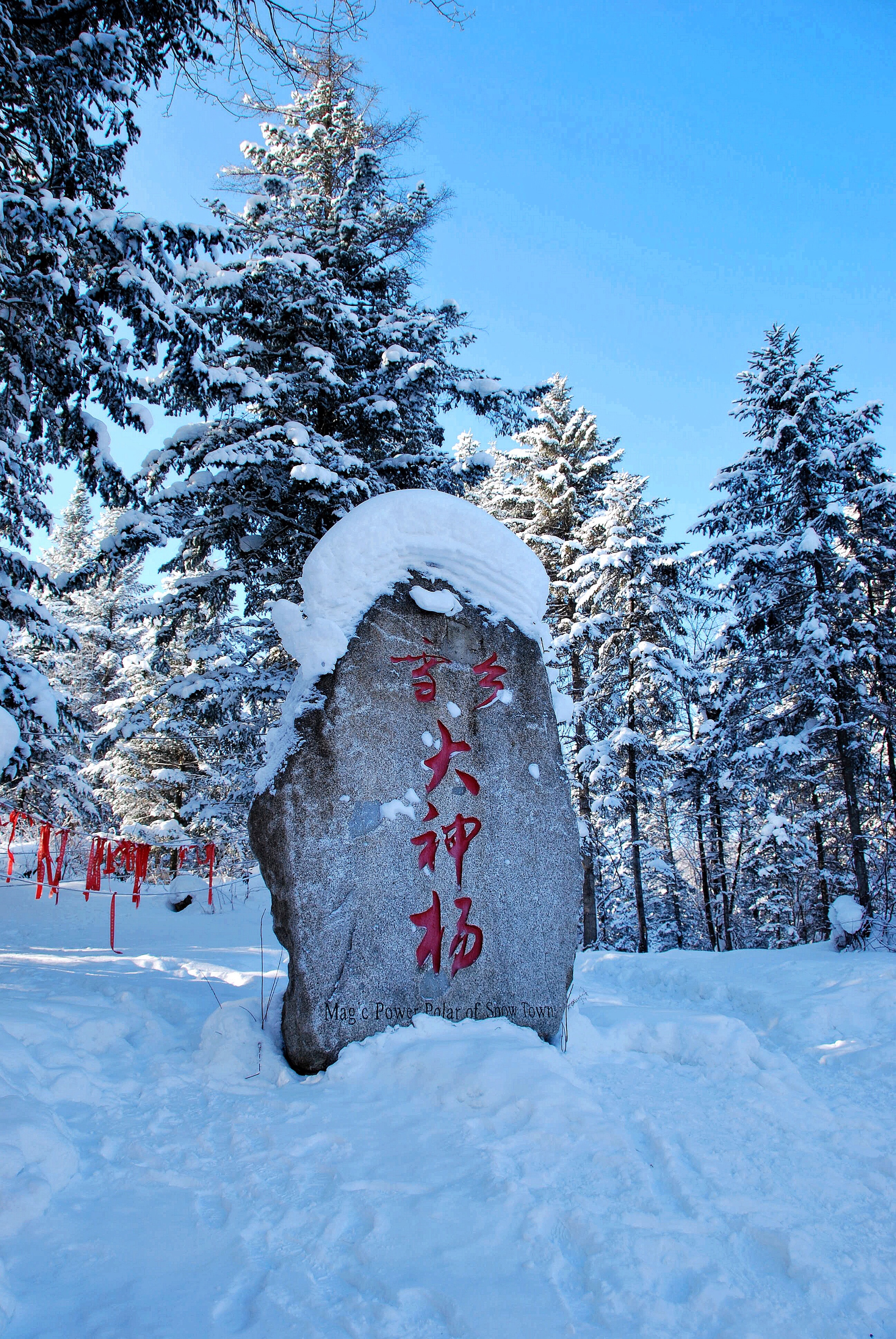 黑龍江雪鄉國家森林公園始建於1999年,是國家aaaa級旅遊風景區.