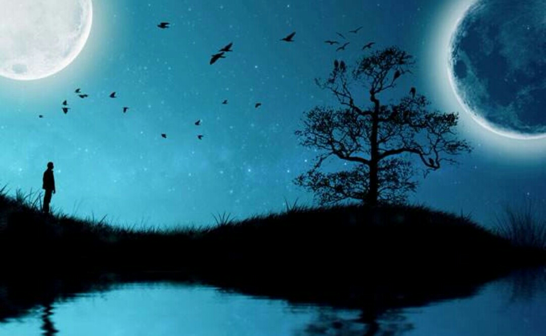 把你和月亮种在心上 清冷的光芒 和相思的惆怅 在晚风中 荡啊荡