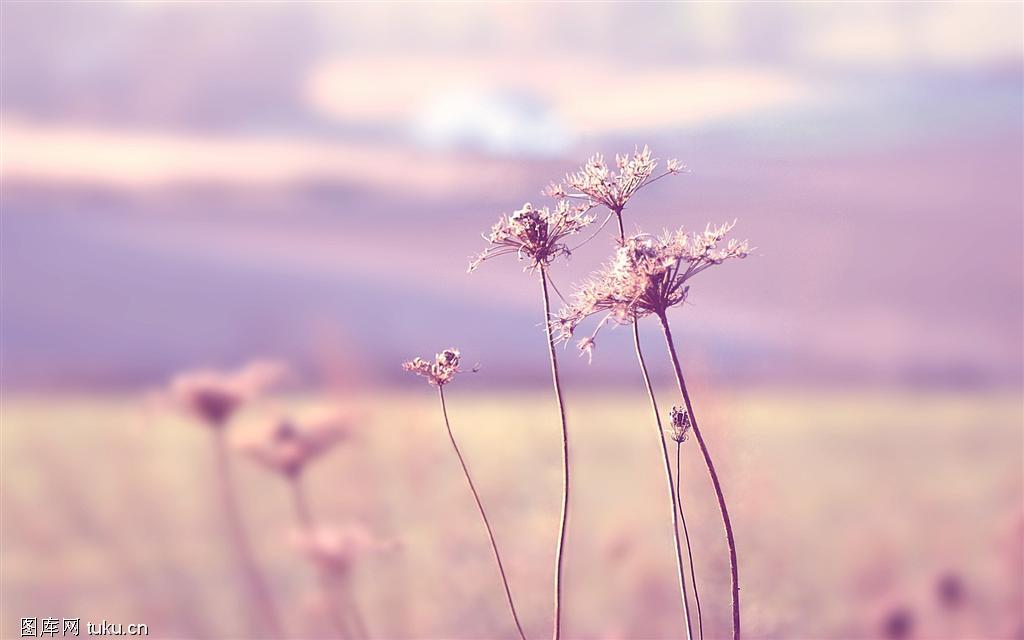 感情再深,不懂珍惜也会断!