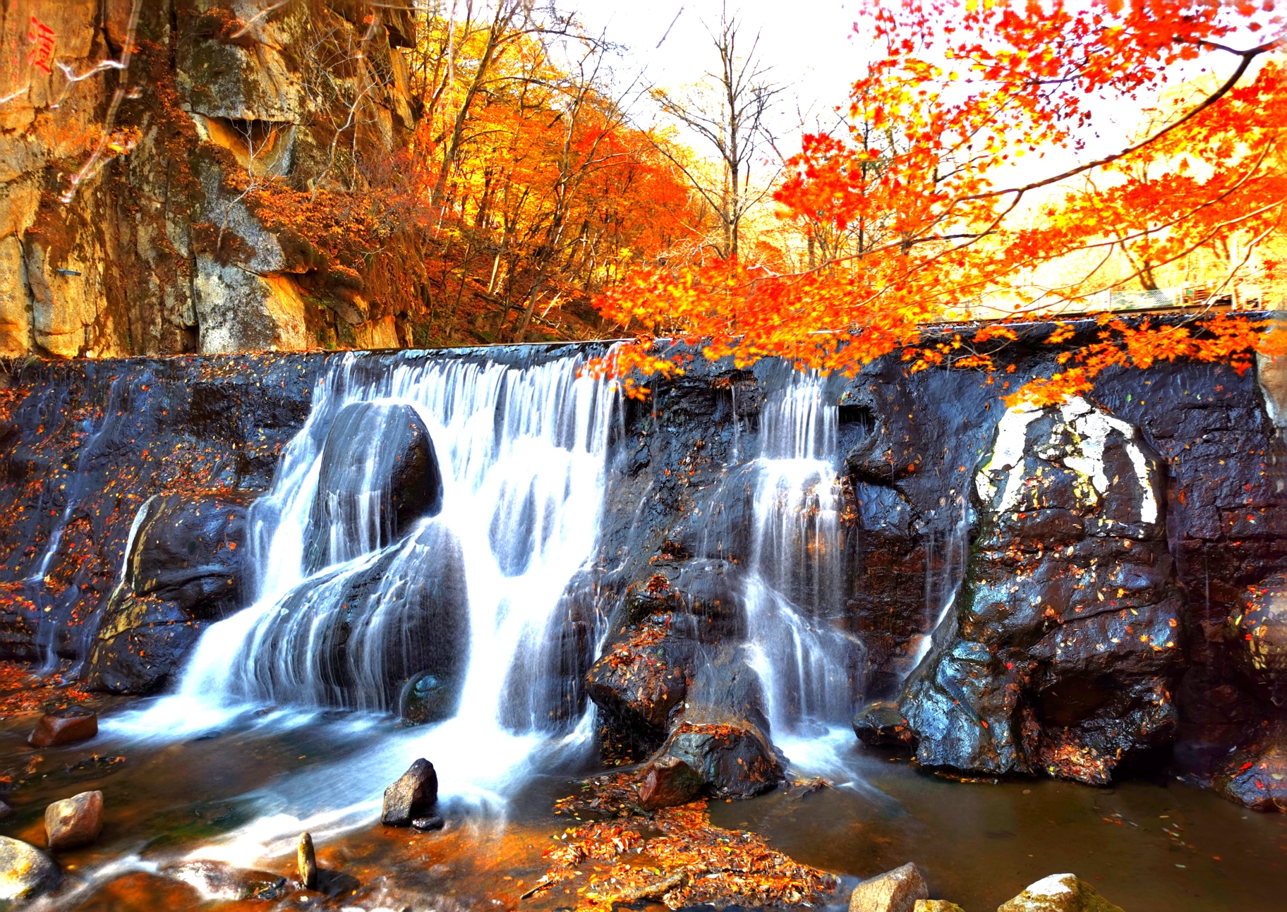 本溪市天桥沟森林公园2020年手机随拍之12