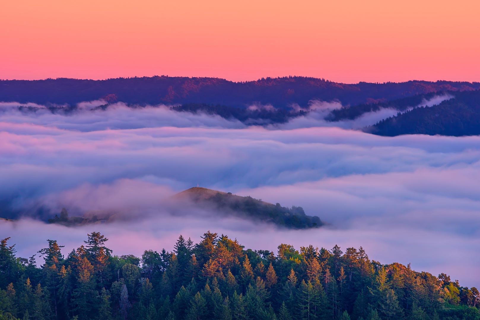 美国旧金山摄影艺术作品展266