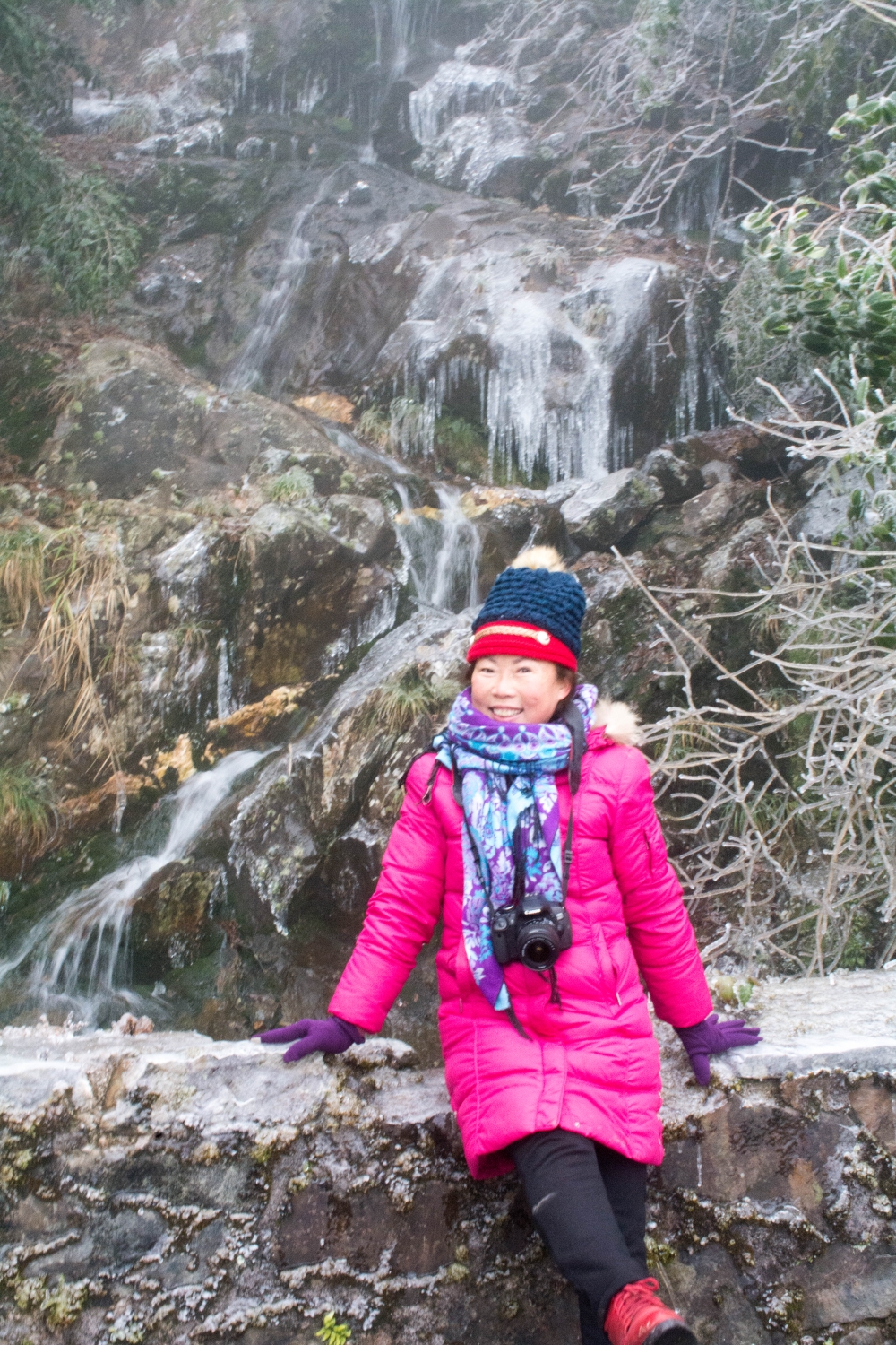 岁月蹉跎,辞旧迎新.杨梅坳上飘瑞雪,岭上腊梅喜迎春.