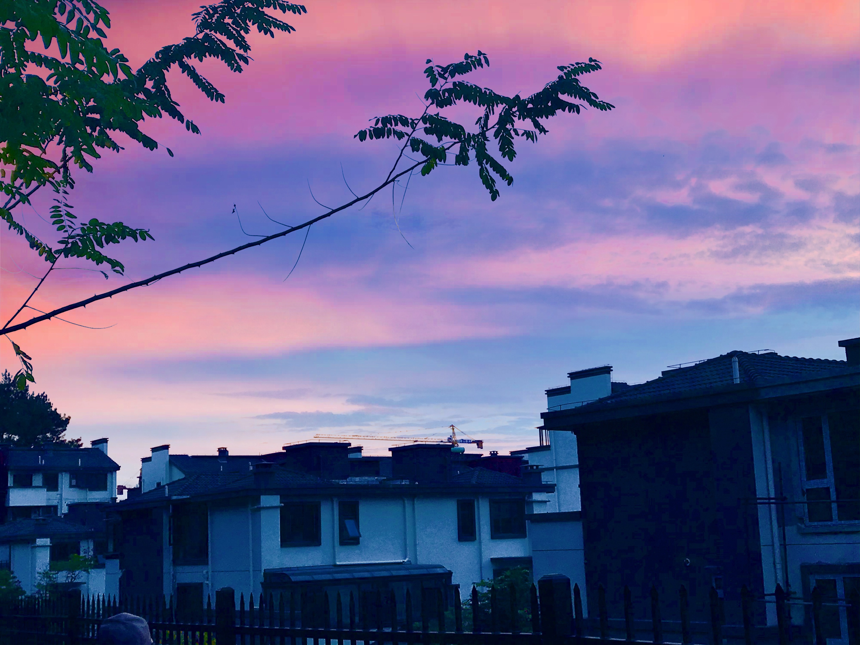 晚霞下的小区让人沉醉首发