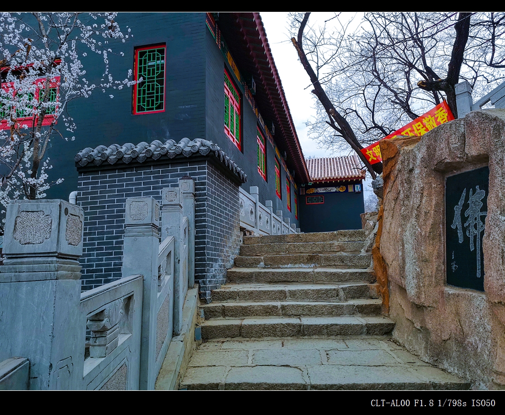 辽宁抚顺市高尔山,高尔山满语意为长满槐树的山.