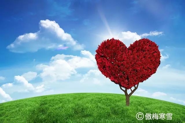 心若纯净,尘何能染