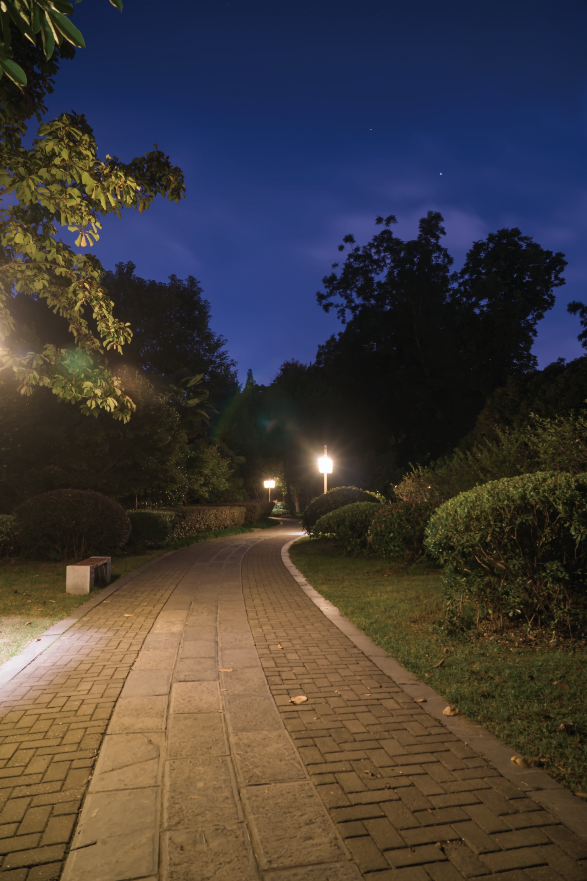 白鹭洲公园的晚上