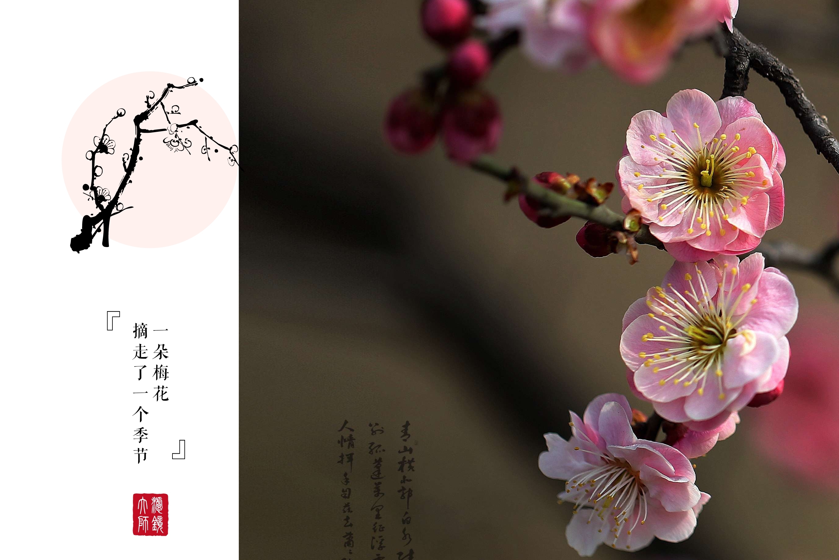首发梅兰竹菊四君子
