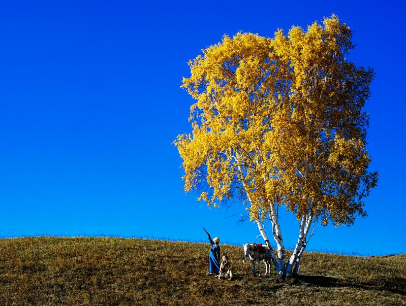 各位老师,摄友在分享欣赏优秀作品的同时,如果也是喜欢摄影的,我们