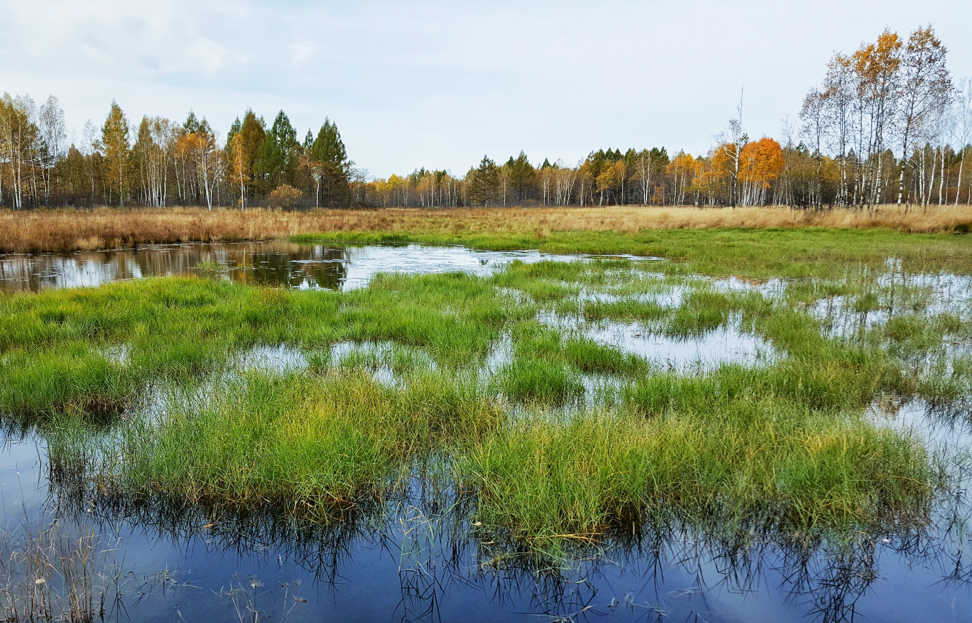 美丽祖国金秋湿地