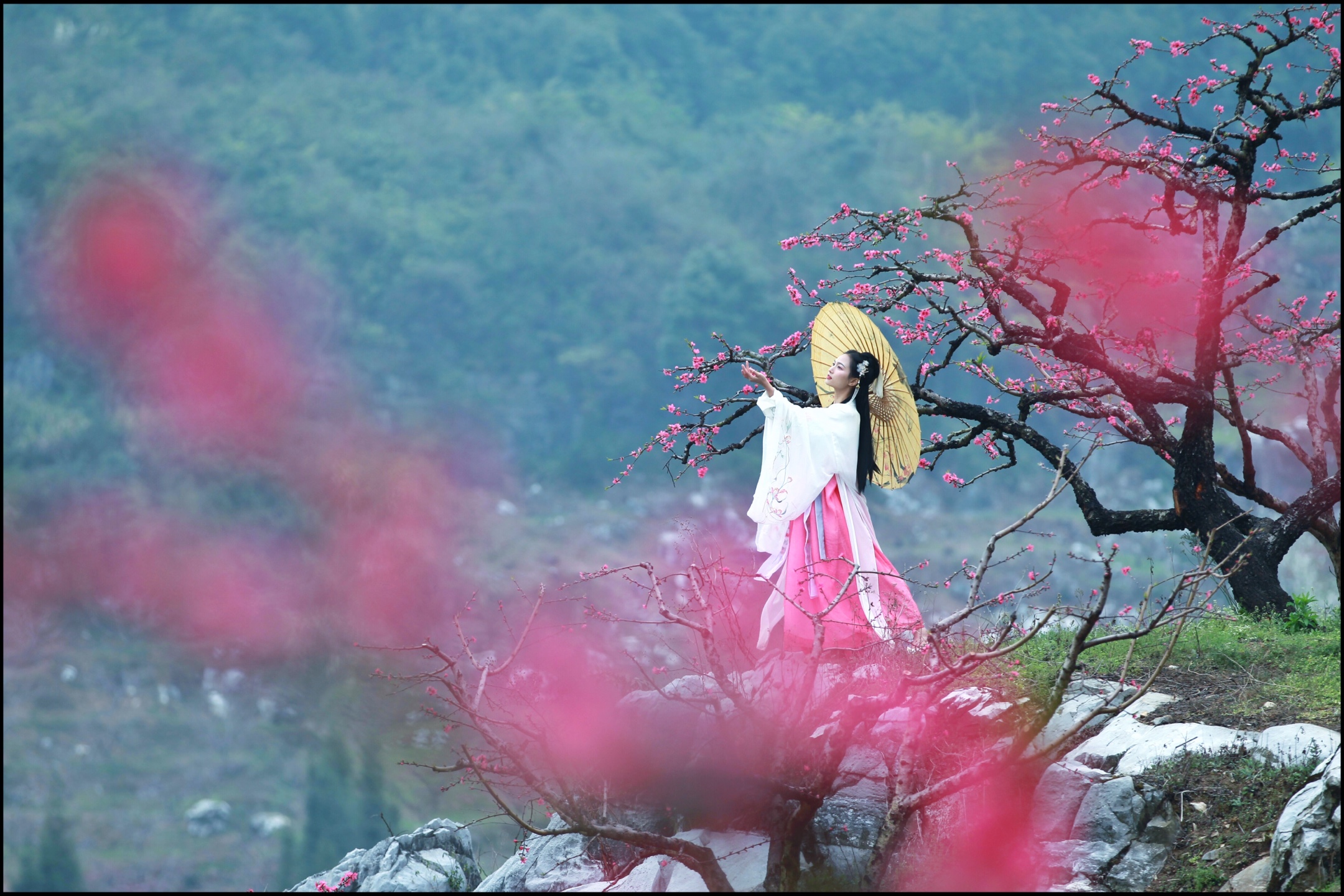 山無數,亂紅如雨. ——秦觀《點絳唇·桃源》