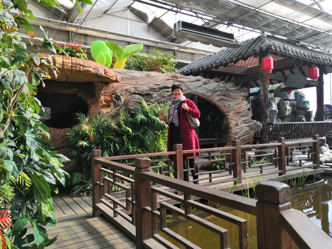 美丽绥滨植物园