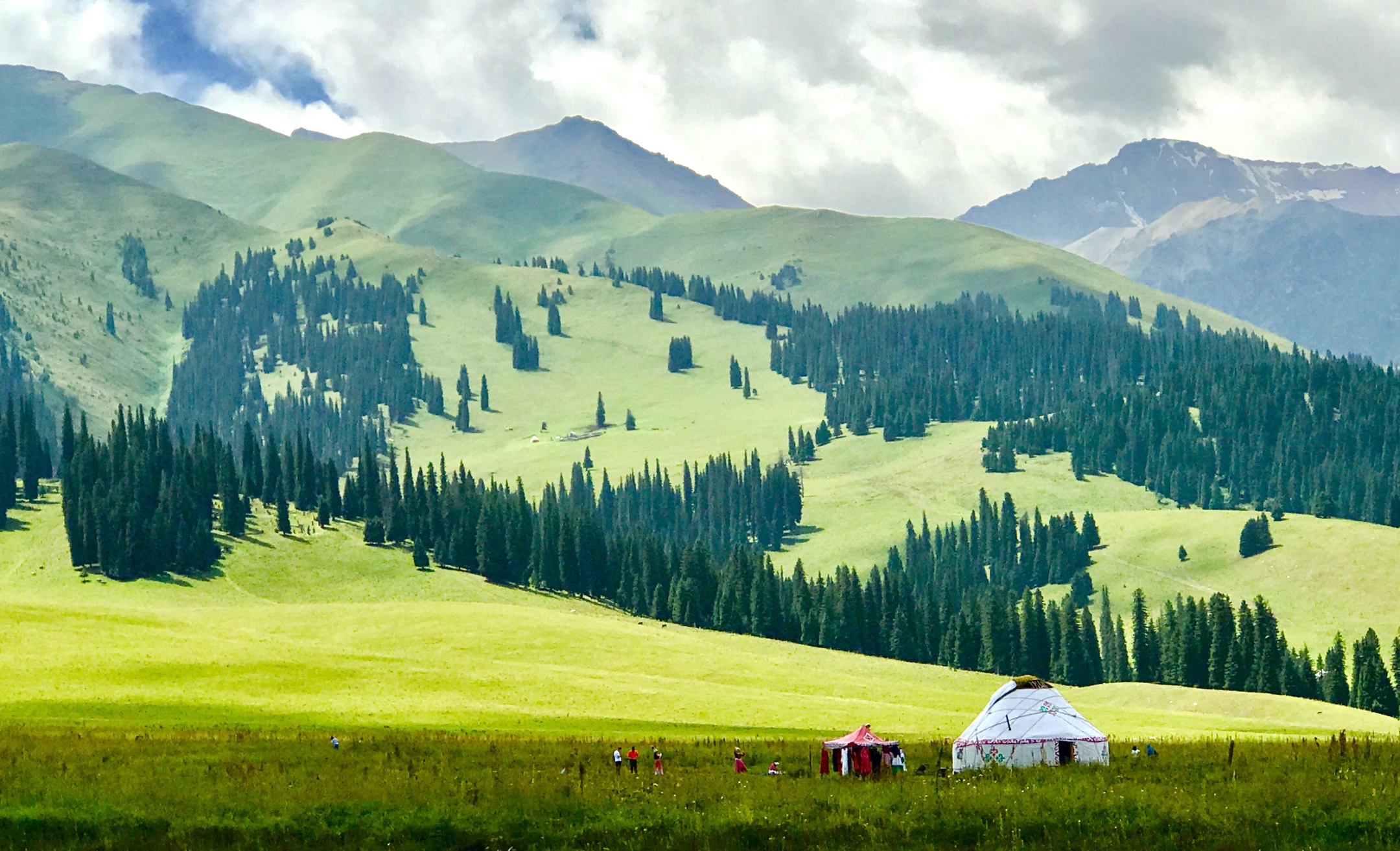 新疆伊犁那拉提空中草原.2019年手机随拍一一之21.