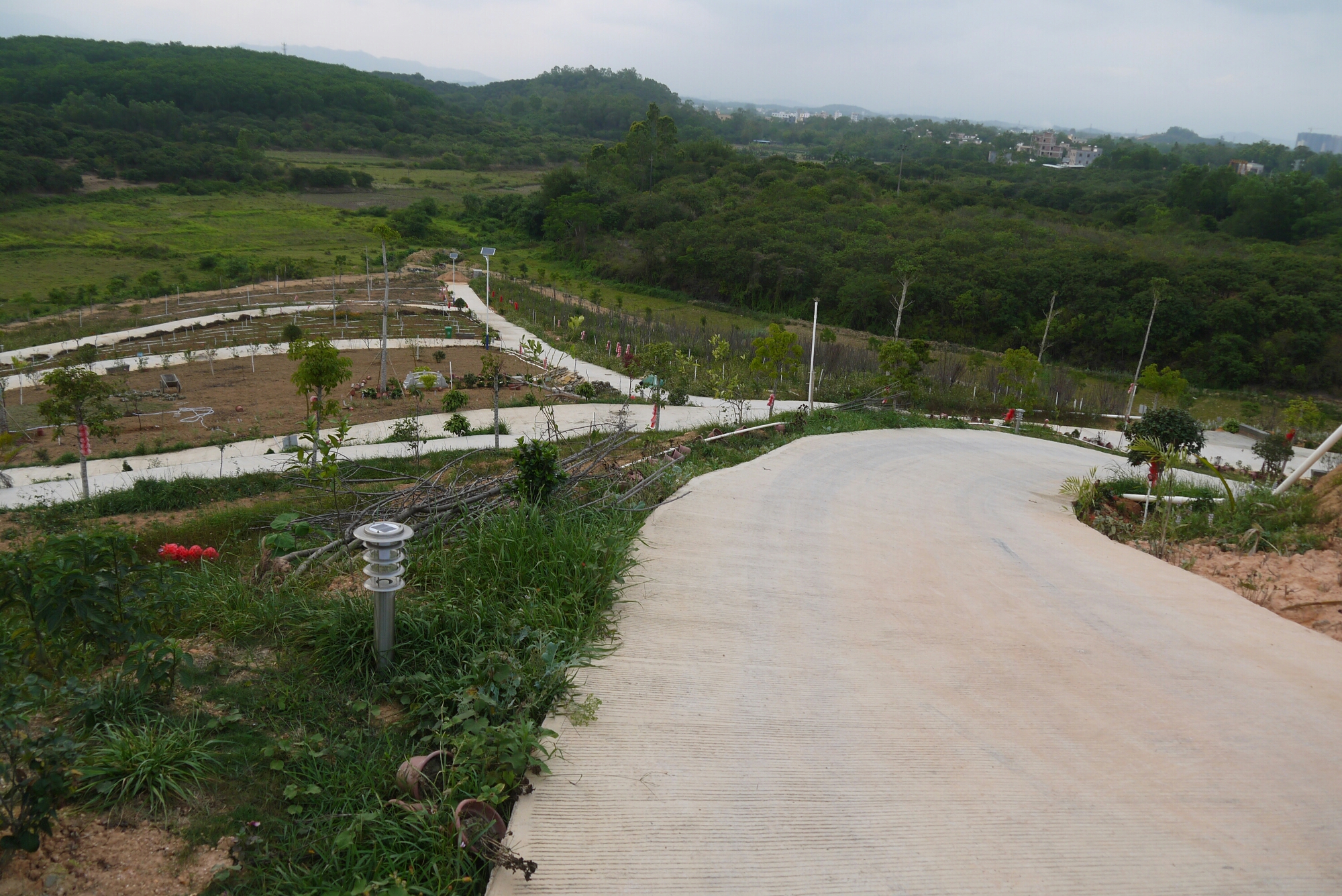 2018-4-12 百花谷樱花开 沙琅镇河口村