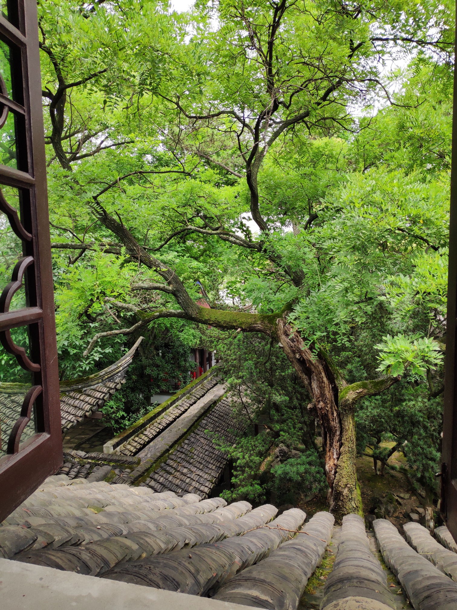 煙雨樓臺聽春雨 清風輕拂和細語 分煙話雨