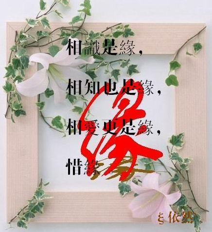今生有缘真心惜缘